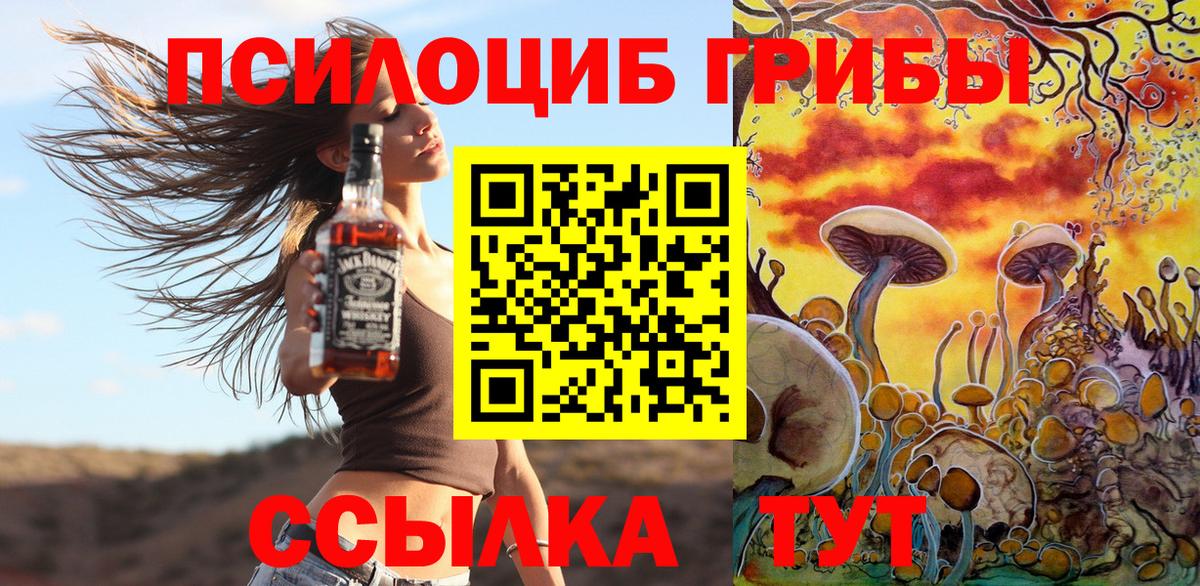Галлюциногенные грибы Cubensis Владикавказ