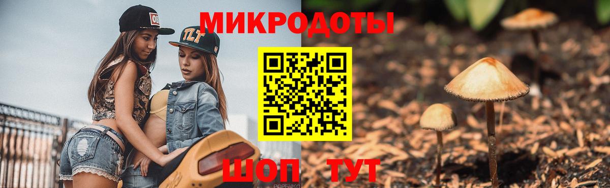 Галлюциногенные грибы Cubensis  Вход с VPN  Владикавказ 