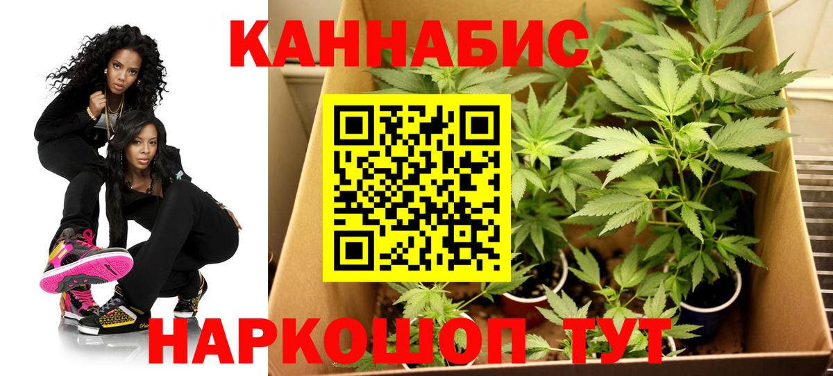 Конопля гибрид Владикавказ